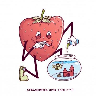 Strawberries over feed fish